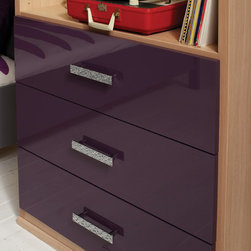 High gloss  Parapan&reg; drawer front in Aubergine.  Decorative hardware. - Storage And Organization