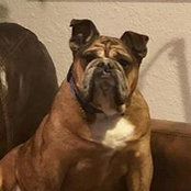 Nancy Cardenas's photo