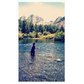 Traci Pearce's photo