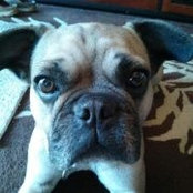 Wendy Gerhart's photo