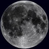 David Iskandaryan's photo