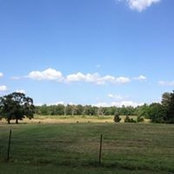 Jan Knight's photo