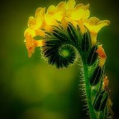 Enoch Feroten's photo