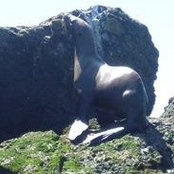 Foto von Andrew Heyl