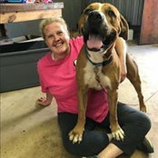 Wendy Bolin Fulghum's photo