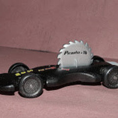 FPDS