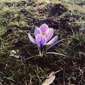 Foto von Andrea Wise