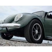 Steven Windham's photo