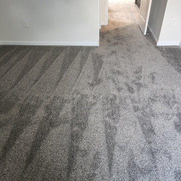 Residential Carpet Installation