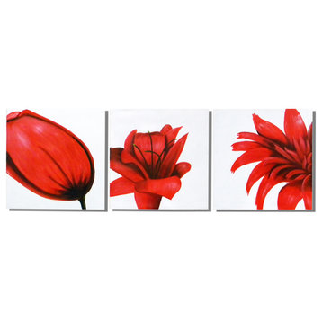Red Flower Trilogy, Wall Tapestry, 20"x60"