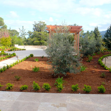 Our Work