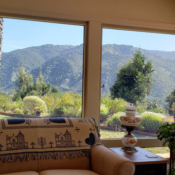 Window Film