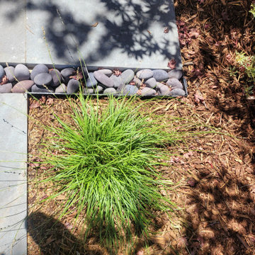 Japanese Inspired Garden