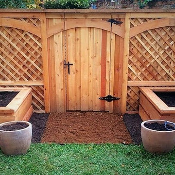 Vegetable Garden