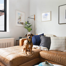 Tierfrei wohnen – ein Trend im Interieur?