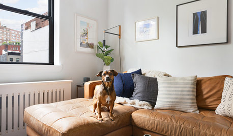 Tierfrei wohnen – ein Trend im Interieur?