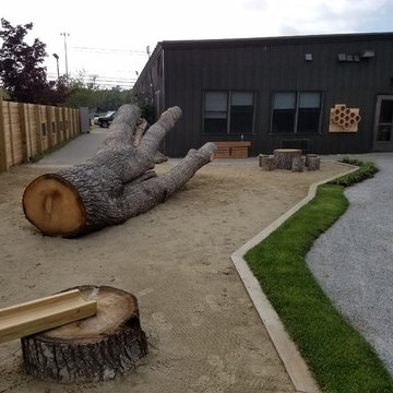 Natural Playground