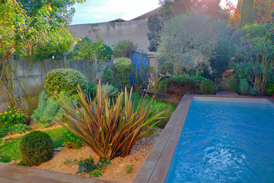 Cette photo montre un jardin arrière tendance de taille moyenne avec une terrasse en bois.