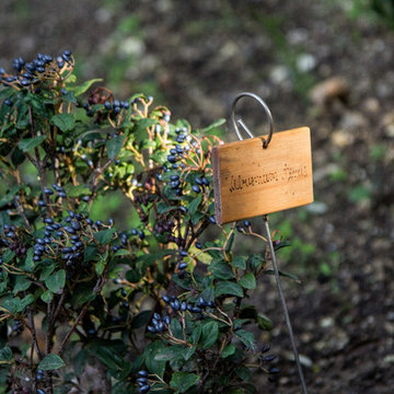 Giardino nel Bosco