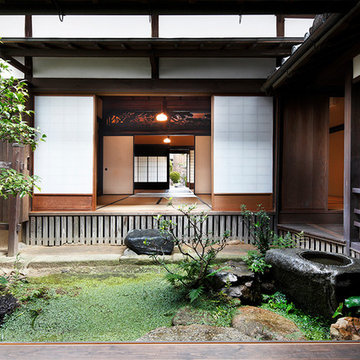Tamaya
