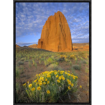 Common Sunflowers and Temple Of The Sun, Capitol Reef Np, Utah, 12"x16"