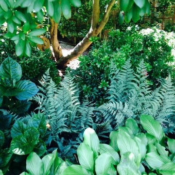 Perennials and shrubs Shade Border, Water Mill, NY