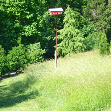 Conservation Landscape