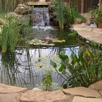 Water Gardens