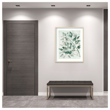 Eucalyptus 1 Green by Pernille Folcarelli Framed Wall Art 33 x 41
