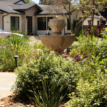 Hidden Garden