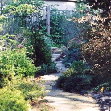 Texas butterfly garden, organic xeriscaping.
