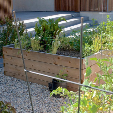 Front yard raised Mini Farm Boxes