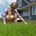 Calgary lawn Solutions Inc.'s profile photo