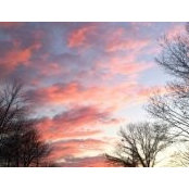 Heather Brown's photo