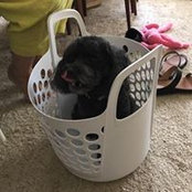 Vicki Pearson's photo
