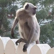 Mary Beth Calio's photo