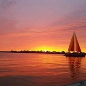 Ira Wallace's photo
