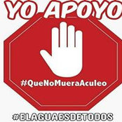 Pablo Salomon's photo