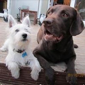 Shelagh Huckett's photo