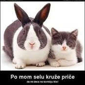 Foto di Igor Radinović