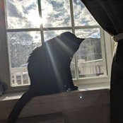 Jen Degrace's photo