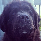Amy Kroeger's photo