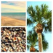 Amy Herbst's photo