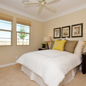 Intrigue @ Marbella Vineyards | Gilbert, AZ | 4094 - Entice Plan