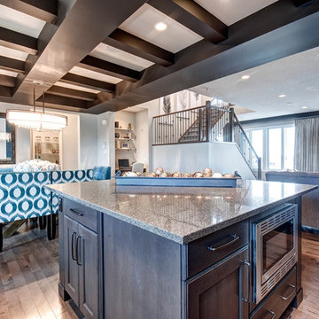 The Vivo Showhome in Harmony