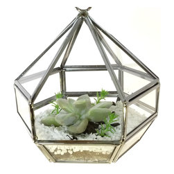 Geometric terrariums by Daring Flowers - Products