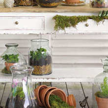 terrariums
