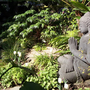 Zen Garden