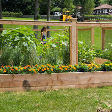 Front Yard Revamp
