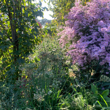 GIARDINO di design naturalistico